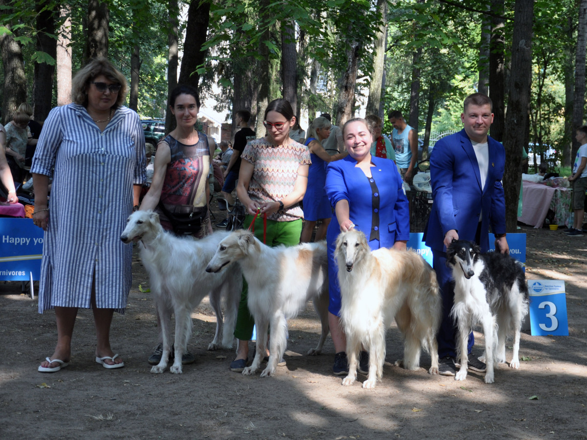 https://ru.top-dog.pro/shows/6717